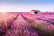 Valensole en Provence Photograph by Francesco Riccardo Iacomino