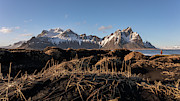 Vestrahorn Gold Photograph by Todd Wilkinson Vestrahorn Gold Photograph by Todd Wilkinson
