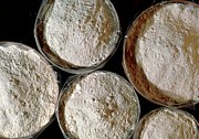 View Of Bags Containing Wheat Flour Photograph by Science Photo Library