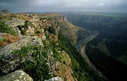 View. Umtamvuna Nature Reserve Photograph by Roger De La Harpe