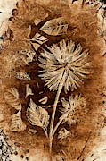 Vintage blossom Photograph by Jorgo Photography