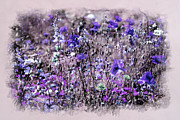 Violet Mood Mixed Media by Alex Mir
