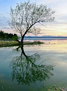 Visualizing Spring Photograph by Mike Reilly
