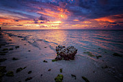 Volcanic Sunset Photograph by Becqi Sherman Volcanic Sunset Photograph by Becqi Sherman