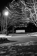 Waiting Photograph by Sandra Dalton Waiting Photograph by Sandra Dalton