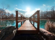 Walk the Plank Photograph by Travis Wooten