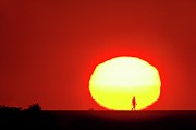 Walking At Sunset Photograph by Science Photo Library