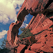 Wall Arch Photograph by Tom Daniel