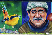 Wall painting in Puerto Natales, Chile Photograph by Lyl Dil Creations