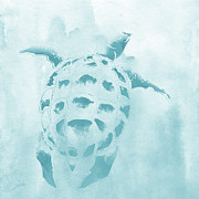 Washed Teal Aquatic Turtle Mixed Media by Elizabeth Medley