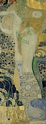 Wasserschlangen -Watersnakes-. Oil on canvas -1904-1907-. Painting by Gustav Klimt -1862-1918- Wasserschlangen -Watersnakes-. Oil on canvas -1904-1907-. Painting by Gustav Klimt -1862-1918-