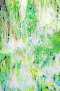 Water Colored  Photograph by Merle Grenz