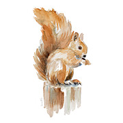 Watercolor Squirrel Painting by Lanie Loreth Watercolor Squirrel Painting by Lanie Loreth