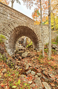 Waterfall Bridge, Autumn, Acadia Photograph by Picturelake