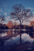 Watery Autumn Photograph by Jeffrey Kolker Watery Autumn Photograph by Jeffrey Kolker
