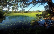 Wetland. Greater St Lucia Wetland Park Photograph by Roger De La Harpe