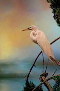 Wetlands Sunrise Digital Art by Jerry Dalrymple