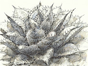 Whale Tongue Agave Painting by Judith Kunzle