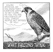 What Falcons Think Drawing by Harry Bliss