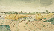 Wheatfields. Painting by Theodore Rousseau