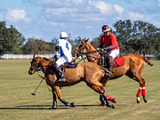 Which way did the ball go? Photograph by L Bosco