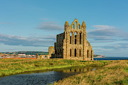 Whitby Abbey, Yorkshire Photograph by David Ross
