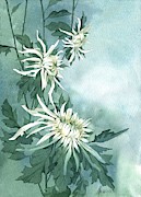 White Chrysanthemums Flowers Painting by Ina Petrashkevich White Chrysanthemums Flowers Painting by Ina Petrashkevich