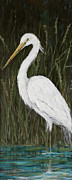 White Egret Painting by South Social D