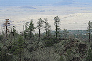 White Mountains Forest Arizona Digital Art by Tom Janca