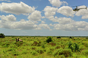 White Rhinoceros (rhino) Or Photograph by Roger De La Harpe