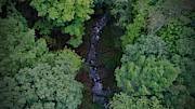 Willow Run Creek Photograph by Anthony Giammarino