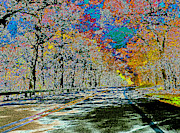 Winding Road Photograph by Kelly Council Winding Road Photograph by Kelly Council