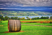 Wine Country - Finger Lakes, New York Photograph by Lynn Bauer