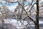 Winter at Snoqualmie Valley Digital Art by Michael Lee
