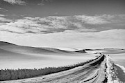 Winter Country Road Black and White Photograph by Tatiana Travelways