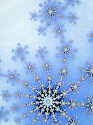 Winter Fractal blue and white ice crystal Digital Art by Matthias Hauser