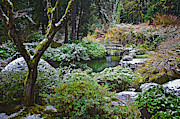 Winter Green Photograph by John Christopher