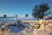 Winter Scene With Gate Near Bonsall, Peak District National Photograph by Alex Hyde / Naturepl.com