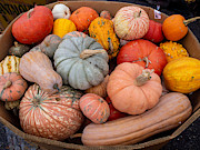 Winter Squash at the Farmers Market Photograph by L Bosco