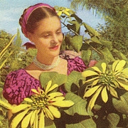 Woman in a Garden Drawing by CSA Images Woman in a Garden Drawing by CSA Images