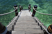 Wooden Stairs Photograph by Thomas Schroeder