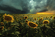 Wrong side of Heaven Photograph by Aaron J Groen