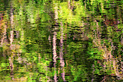 Wutach Gorge Photograph by Bernd Laeschke Wutach Gorge Photograph by Bernd Laeschke