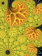 Yellow and orange floral Fractal Digital Art by Matthias Hauser