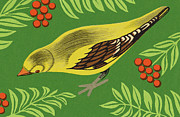 Yellow Bird in a Tree Drawing by CSA Images Yellow Bird in a Tree Drawing by CSA Images