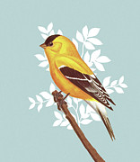 Yellow Finch Drawing by CSA Images Yellow Finch Drawing by CSA Images