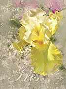 Yellow Iris Graphic Digital Art by Mark Mille Yellow Iris Graphic Digital Art by Mark Mille