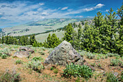 Yellowstone River Picnic Area Photograph by Roddy Scheer