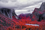 Yosemite in Red Photograph by Jon Glaser Yosemite in Red Photograph by Jon Glaser
