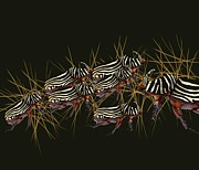 Zebra Pattern Rhinoceros Beetle 4 Drawing by Joan Stratton Zebra Pattern Rhinoceros Beetle 4 Drawing by Joan Stratton